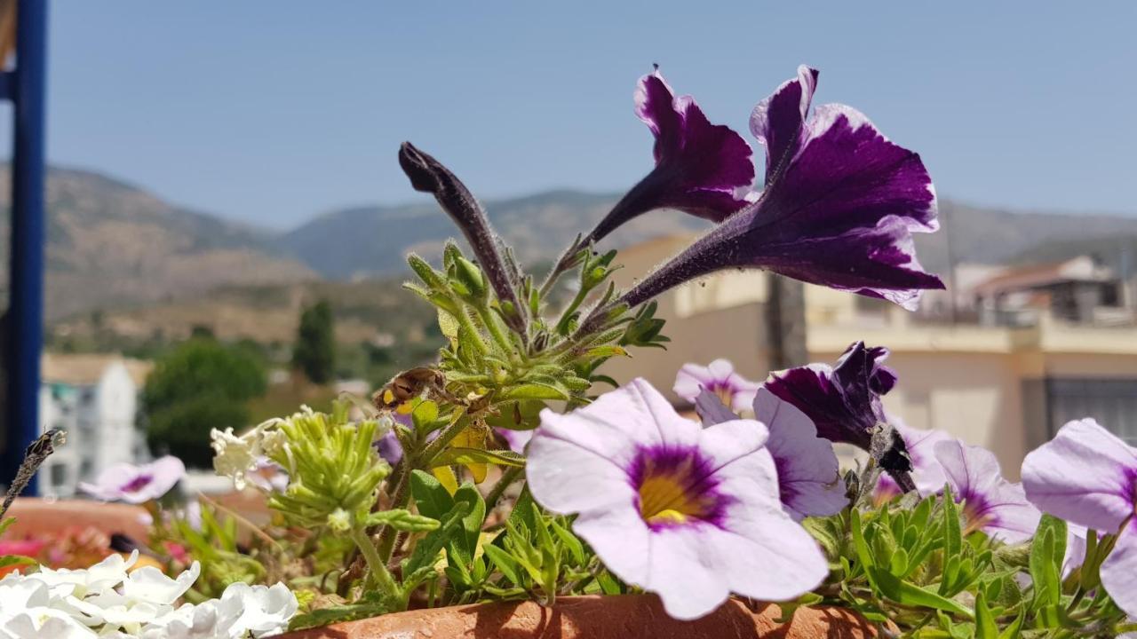 Posada Alpujarra Sol Орхива Экстерьер фото